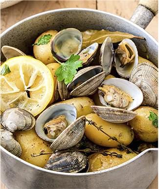 assorti